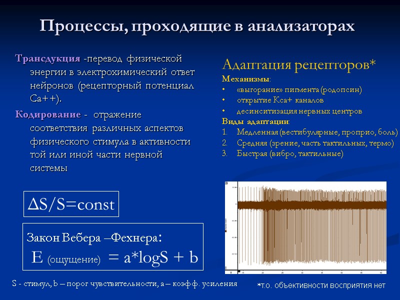 Процессы, проходящие в анализаторах  Трансдукция -перевод физической энергии в электрохимический ответ нейронов (рецепторный